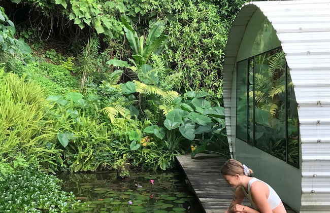 Finca El Tambor - Foto 12