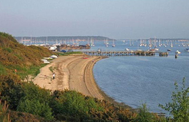 About Tern - Foto 33