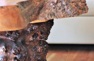 Traumhafte Ferienwohnungen im Naturpark Zittauer Gebirge Haus Tanneck - Foto 25