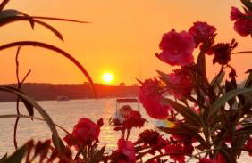 Apartmani Roxy - Foto 3