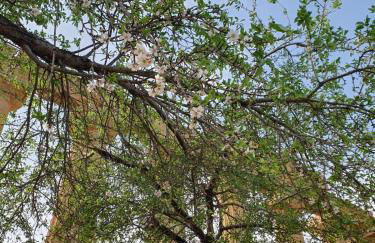 Villa Maresa Home - Photo 32