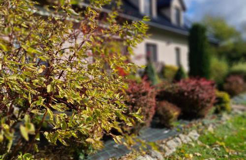 Apartamenty TUTERRA I - Foto 30