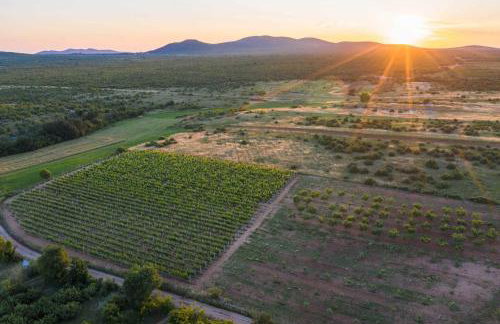 MY DALMATIA - Authentic Villa Storia with private heated pool - Photo 59