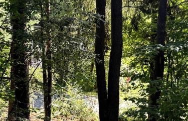 Roscoe Pine House - Foto 19