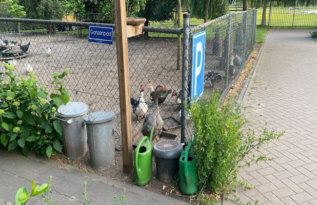 Cozy Holiday Home in Bergen op Zoom With Garden - Foto 63