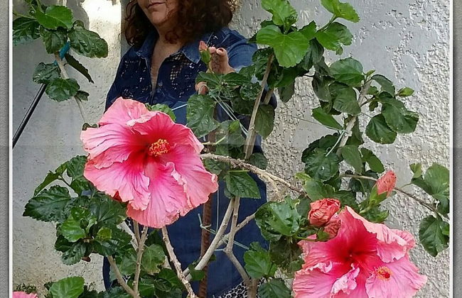 Exclusive Cottages in a Quiet Oliverove Near the sea - Foto 8