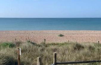 The Greenhouse - Foto 16