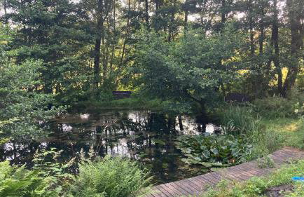 Na Piotrowickiej Przełęczy - Foto 59