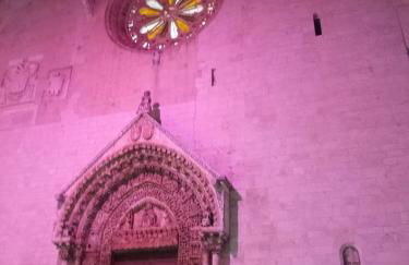 Le camelie - Foto 21