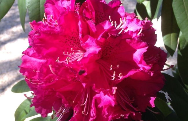 Domaine en Terre Happy - Foto 67