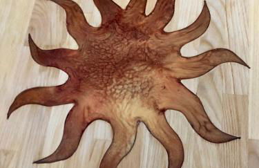 Delux Ferienwohnung Kunstgalerie und Ilmradweg - Photo 11