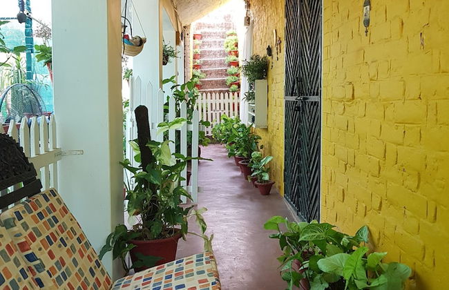 Koko's Farm - Foto 10