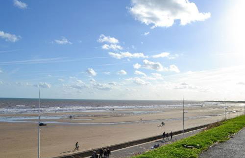 Alfie - Uk48109 - Foto 17