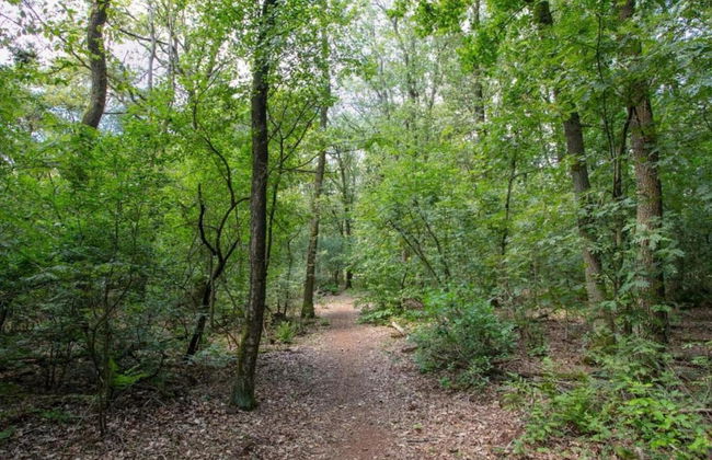 Lodge in Schaijk Near Green Forests - Photo 38
