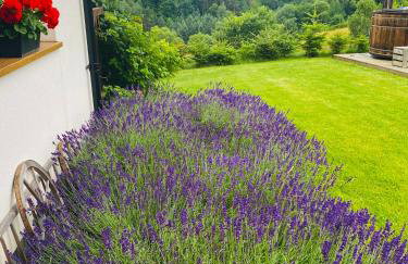 Wilcza Chata - Photo 27