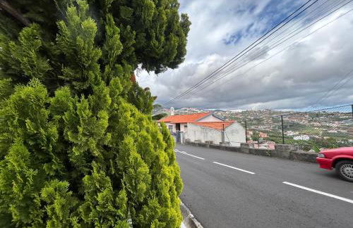 Vila Pico da Torre Apartment - Photo 52