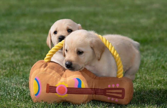 UNIQUE RESIDENCE - Foto 61