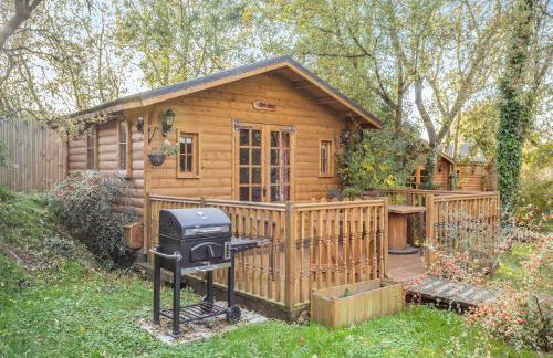 Lion House- Uk45705 - Foto 14