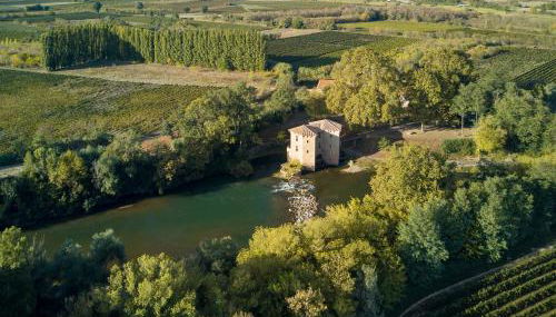 Le Moulin de Pézenas - Pierres d'Histoire - Foto 1