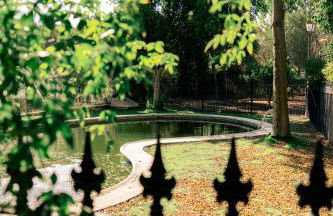 Finca Vitoria - Foto 34