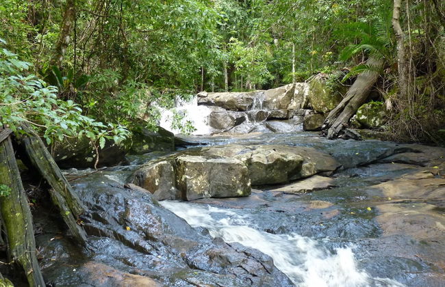 Bellthorpe Stays - Foto 64