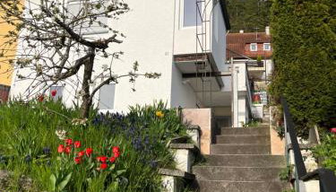 Ellis Häusle - Photo 3