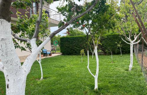 Guesthouse Dimitra - Foto 9