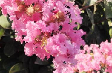 La Bastide de Claude - Foto 18