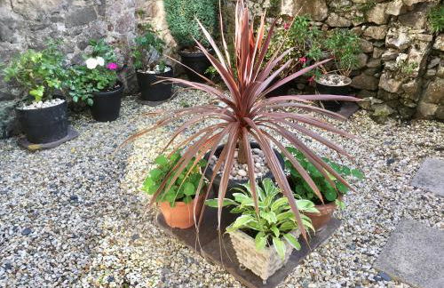 Chapel St Apartments - Photo 75