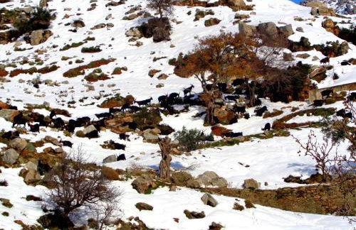 Makronas Apartments - Foto 49