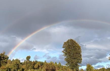 Quinta D' LuzArcoIris - Foto 20