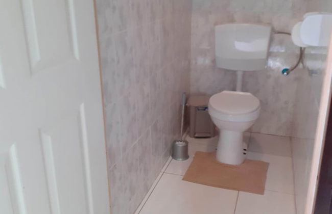 Max Garden and Pool - Photo 45