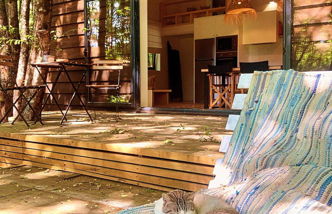 Self Catering Quinta Lamosa - Responsible Tourism for 2 People - Foto 12