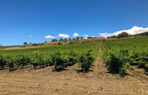 Fattoria Manostalla Villa Chiarelli - Foto 101