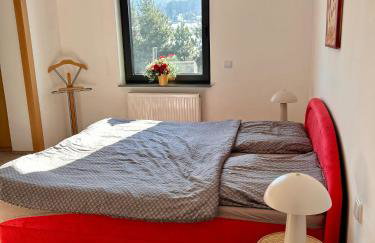 Baranie Wzgórze Ustroń Basen Sauna Plac Zabaw - Foto 59