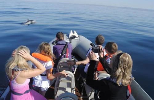 Caroline Du Sul - Foto 39