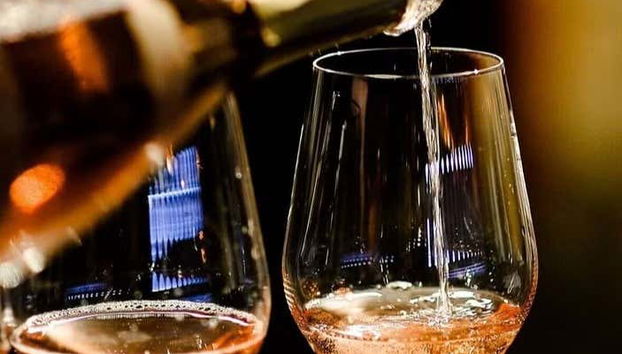 Bratislava Wine Tour - Foto 4