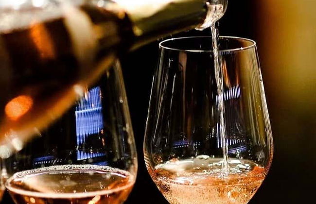 Bratislava Wine Tour - Foto 4