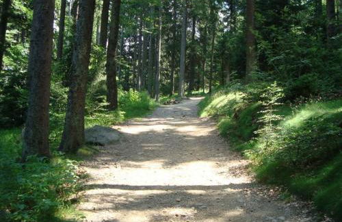 3 Michael Weiß Comfortable holiday residence - Foto 14