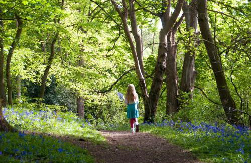 Rose Cottage rural cosiness with footpaths to the local Macro Brewery Pub - Foto 22
