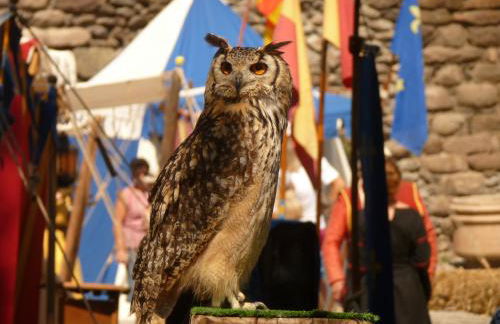 Tour Ramus- appartements - Foto 27