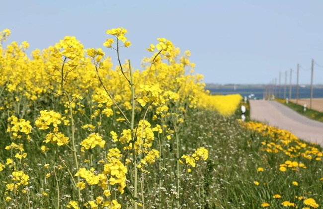 Ruhiges Appartement in Strandnaehe in Wohlenberg, Deutschland - Photo 130
