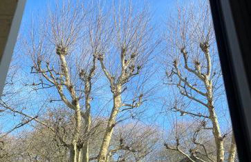 Emplacement idéal Confort et tranquillité - Foto 29