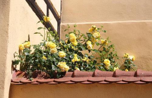 Altstadtpalais im Sand - Photo 33