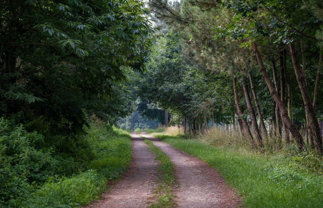 Casa Brandariz - Foto 35