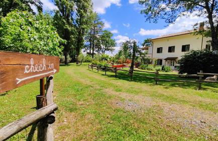 Locazione turistica nel verde Civita di Bagnoregio - Foto 7