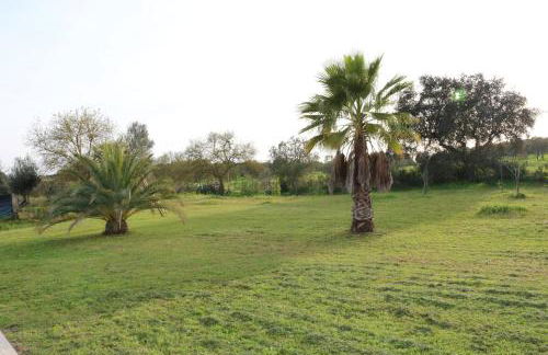 Monte das Hortas Velhas - Foto 39