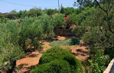 AMPELIA KYTHIRA - Foto 43