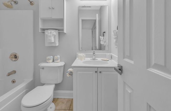 Island palms - Photo 22