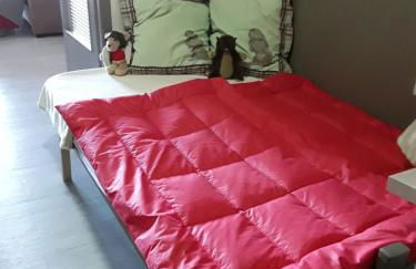 Les balcons du lac - Foto 10